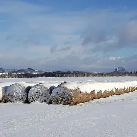 Goldstueck Affittacamere