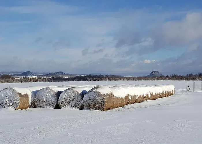 Goldstueck 招待所