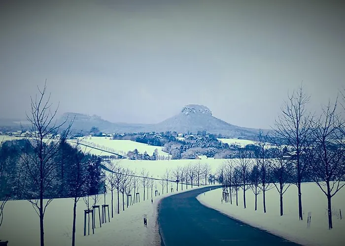 招待所 Goldstueck 3*