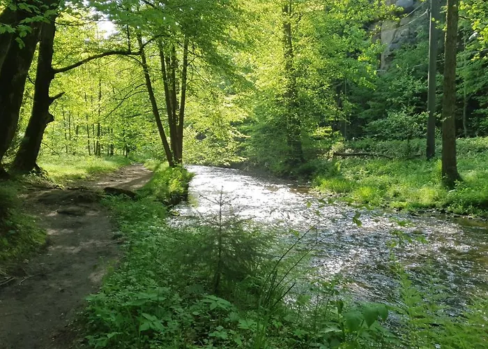 Goldstueck 招待所